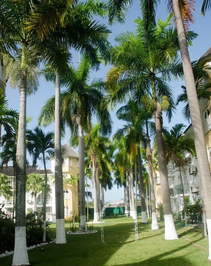 Sandcastles Beach Resort Ocho Ríos Extérieur photo